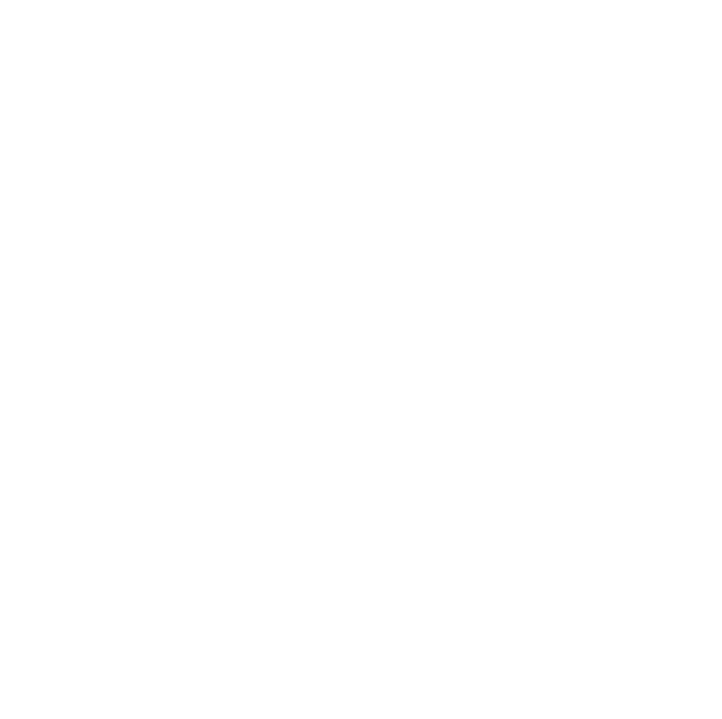 Python Programming Language